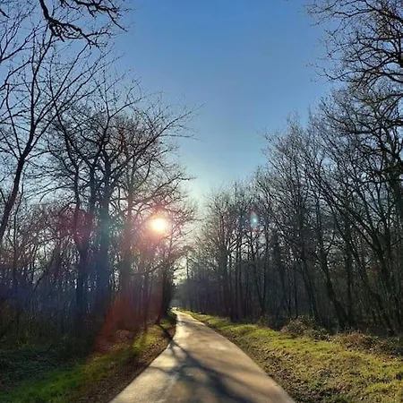 Lesse En Ciel Vous Accueille Avec Plaisir . *