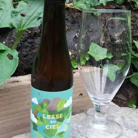 Lesse En Ciel Vous Accueille Avec Plaisir . *