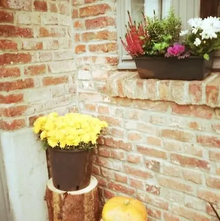 Lesse En Ciel Vous Accueille Avec Plaisir . Сasa de vacaciones *