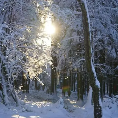Сasa de vacaciones Lesse En Ciel Vous Accueille Avec Plaisir .