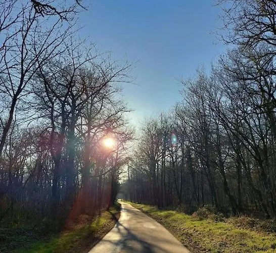 Lesse En Ciel Vous Accueille Avec Plaisir . *