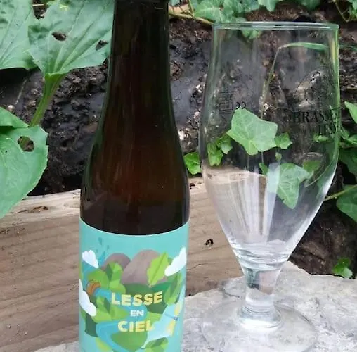 Lesse En Ciel Vous Accueille Avec Plaisir . *