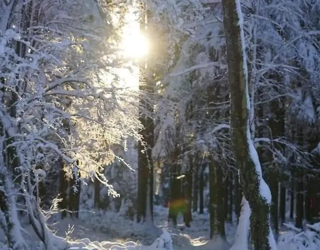 Casa vacanze Lesse En Ciel Vous Accueille Avec Plaisir .
